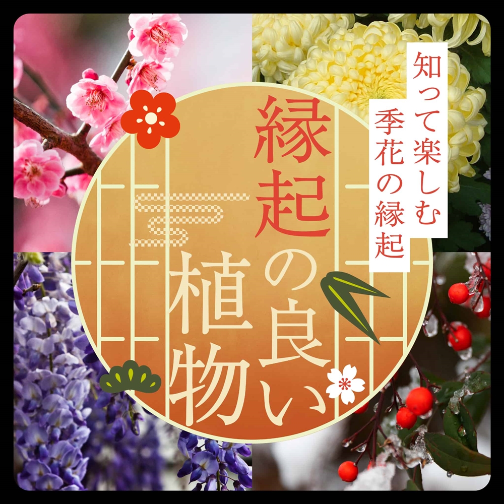 縁起の良い花の由来とは？世界の花や、四季のお祝い・贈り物にぴったりな人気の花もご紹介！