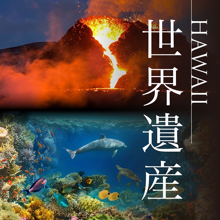 ハワイにある素敵な世界遺産とは？観光のときの注意点もご紹介！