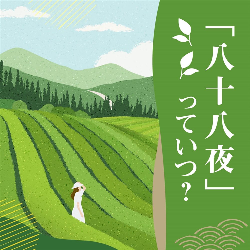 2025年の八十八夜はいつ？「八十八夜の別れ霜」という言葉の意味や新茶との関係もご紹介！