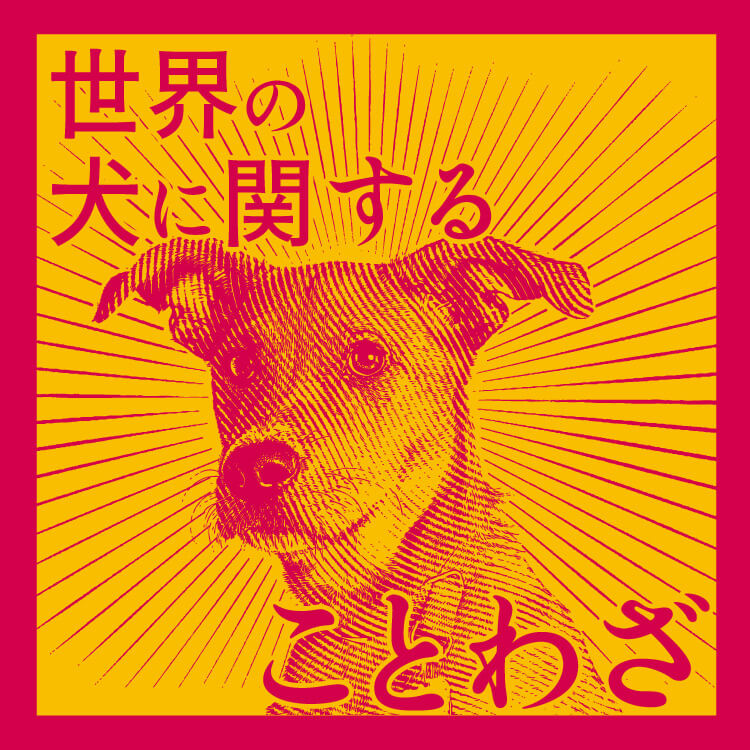 「犬」に関することわざや慣用句 世界のことわざや使われる場面や意味を解説！