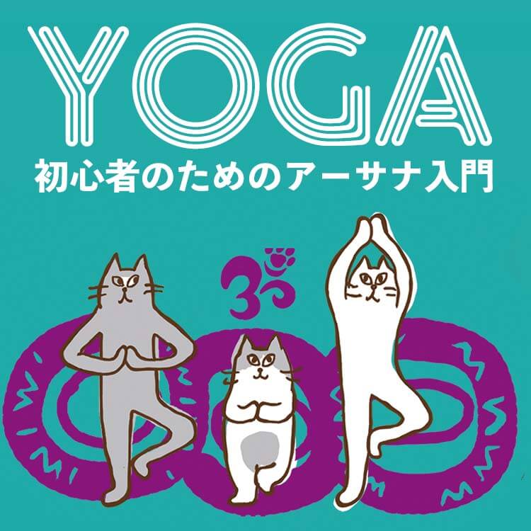 初心者のためのアーサナ入門：ヨーガの姿勢とポーズの深い意味とは？