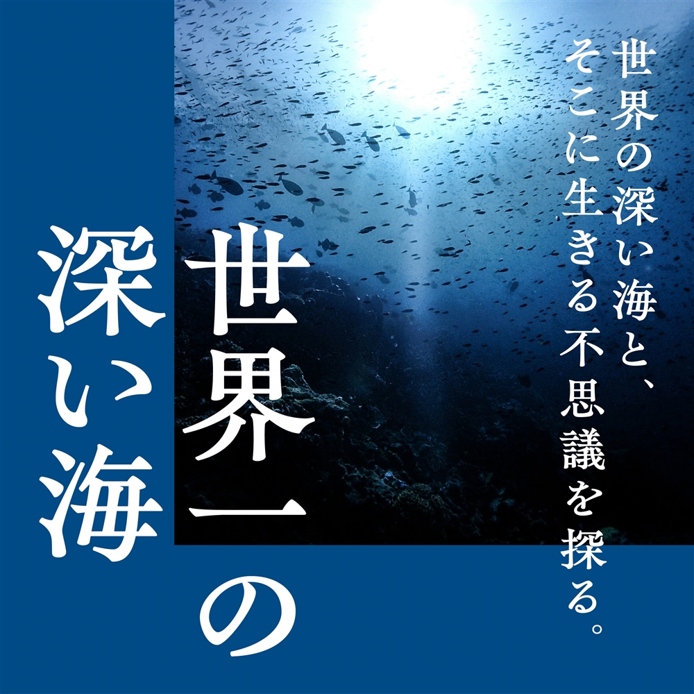 世界一深い海の深さはどれくらい？ 深い海にいる生き物や、世界の海に関する雑学と合わせてご紹介！