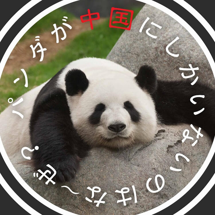 パンダが中国にしかいない理由