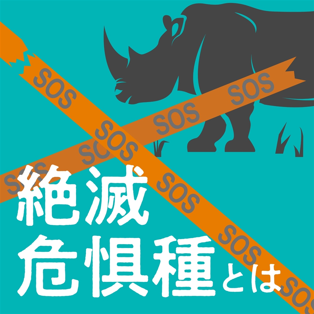 絶滅危惧種とは？世界や日本で絶滅の危機に瀕している動物をご紹介！