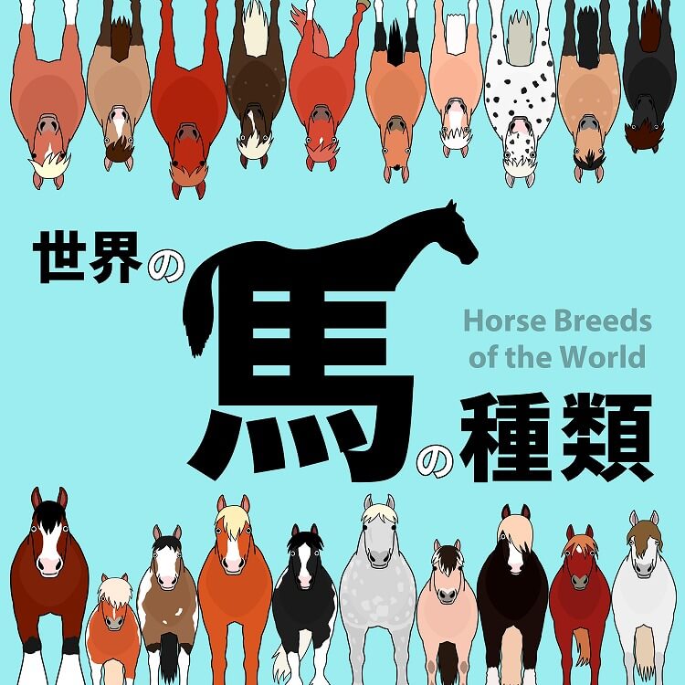 世界の馬の種類と特徴｜軽種から重種まで代表的な品種を紹介