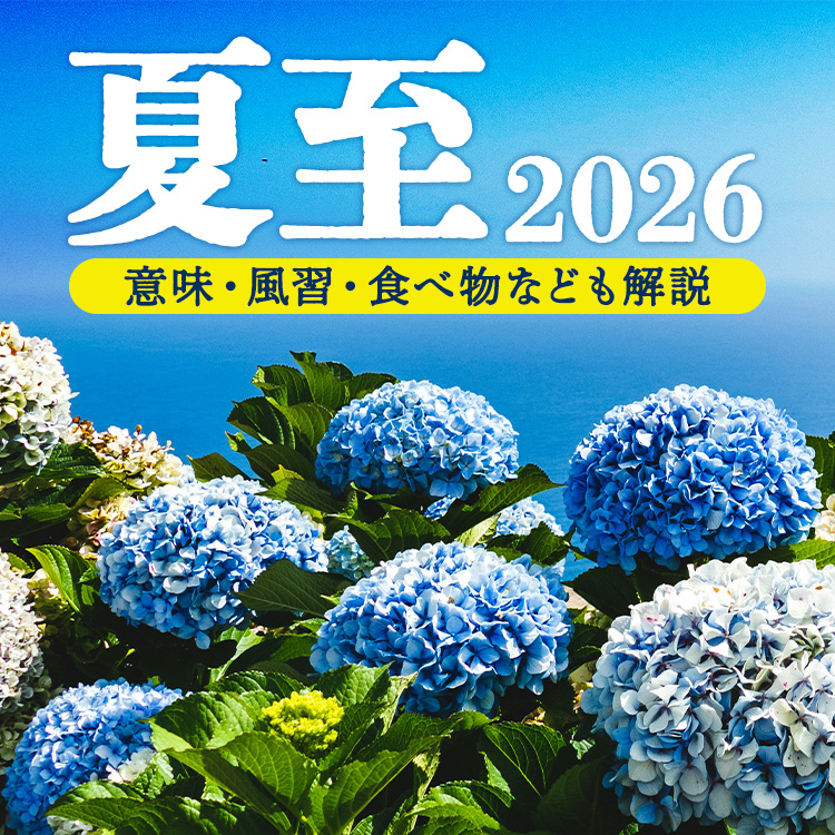 夏至とは？2026年はいつ？意味・風習・食べ物なども解説
