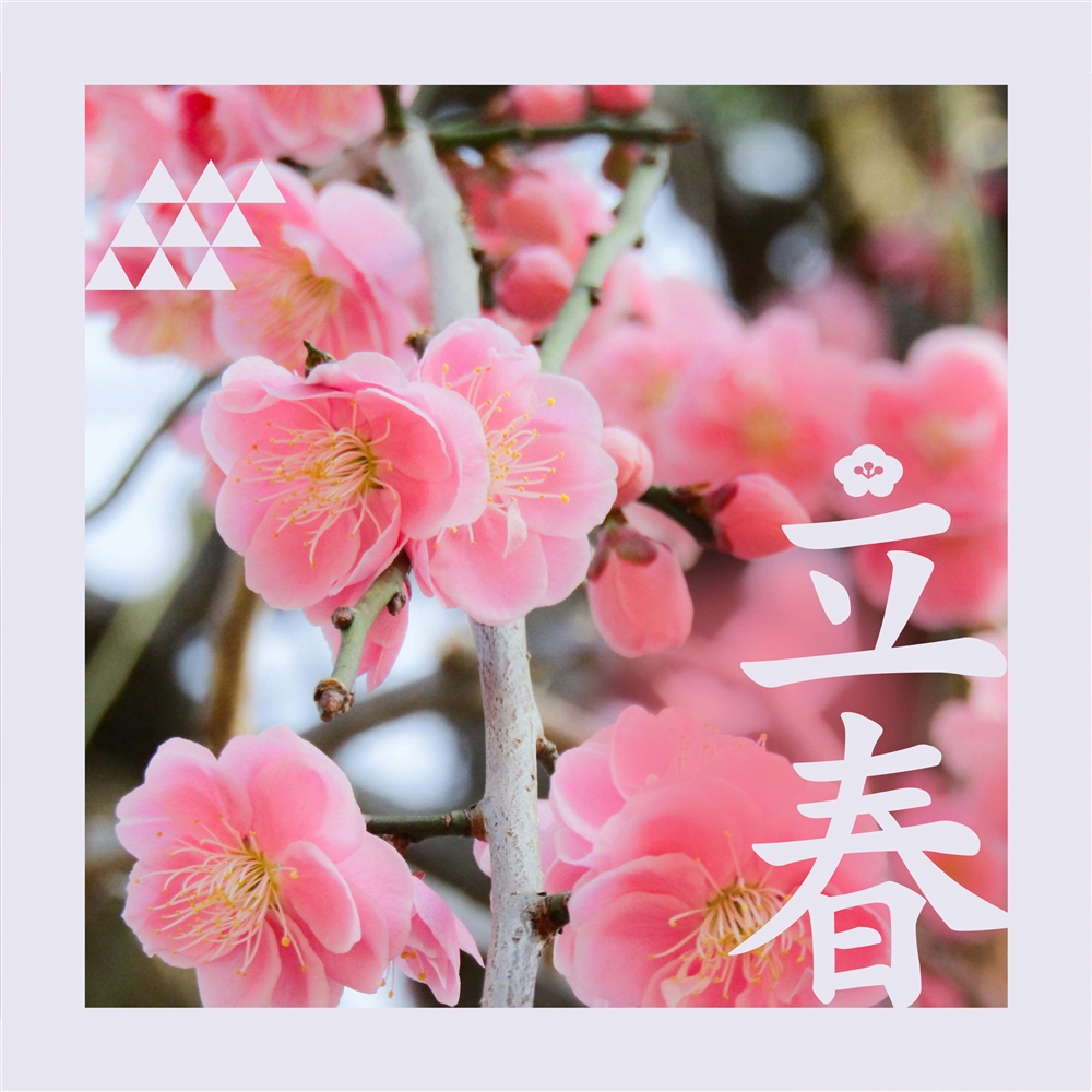 「立春」ってどんなもの？2026年の立春はいつ？｜二十四節気の最初の役割、春の始まりの日