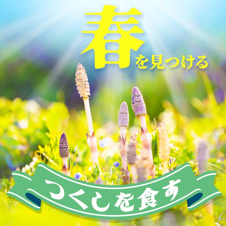 春を見つける　つくしを食す　～春限定グルメ“つくし”の採り方や簡単レシピをご紹介～