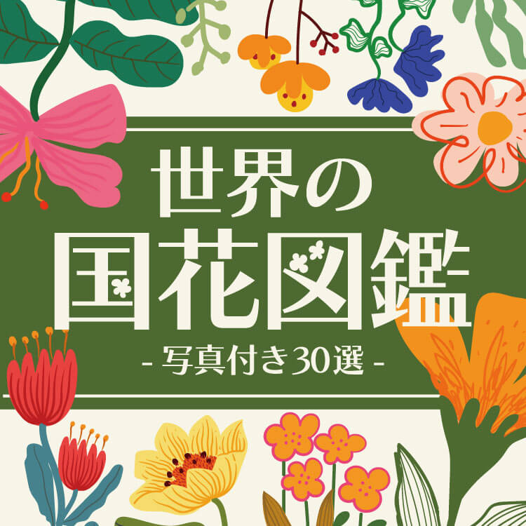 【写真付き】世界の素敵な「国の花」30選と花言葉