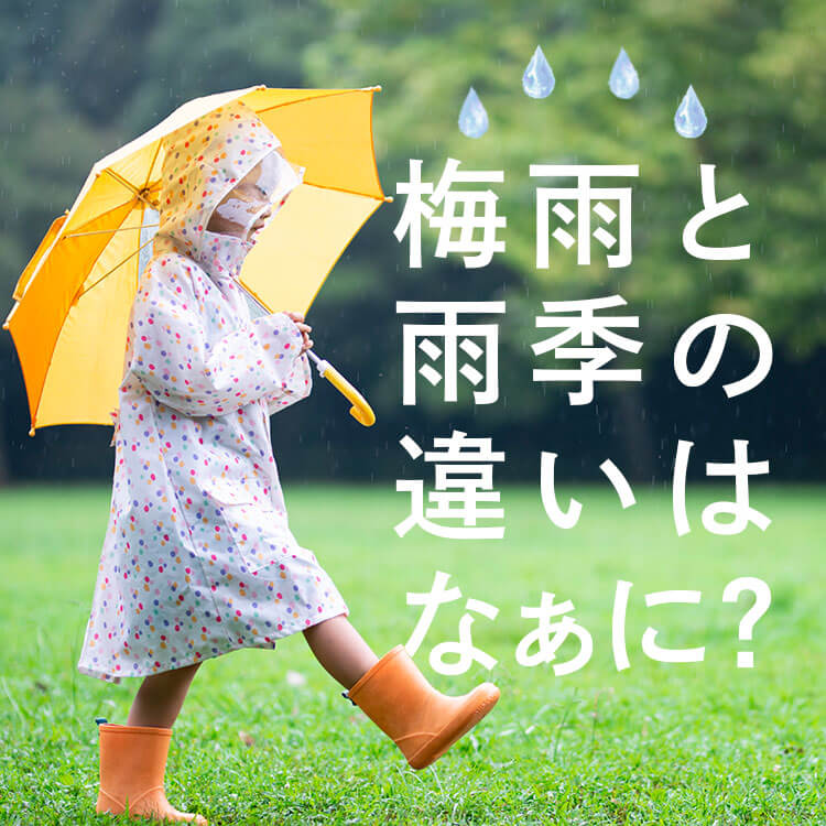 梅雨がある国は日本以外にもあるの？世界の雨季との違いを解説