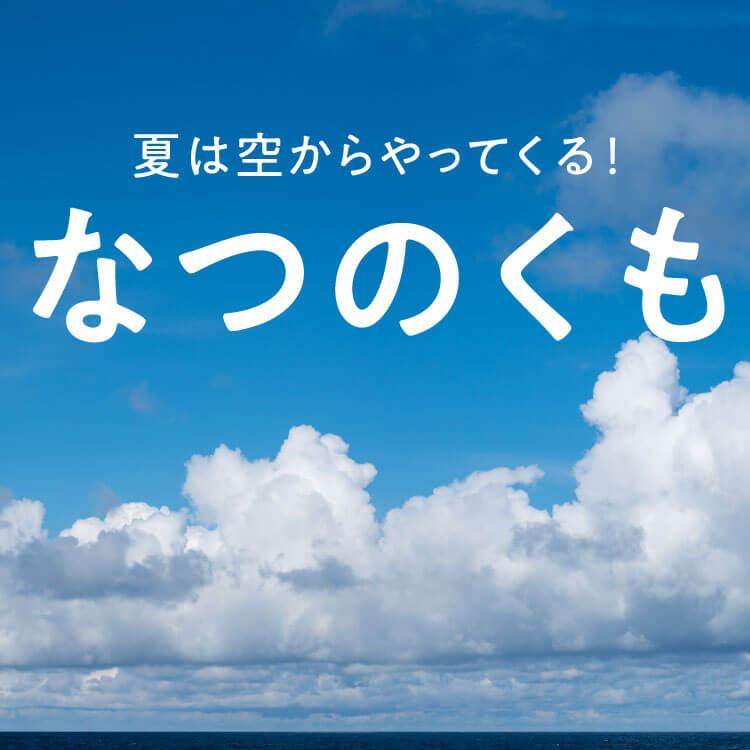 夏の雲にはどんな種類がある？風景や季節感を楽しむ夏雲の知識