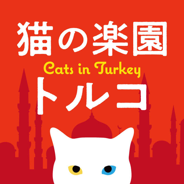 トルコはなぜ「猫の楽園」に？イスタンブールに猫が多い理由やトルコの猫種について解説