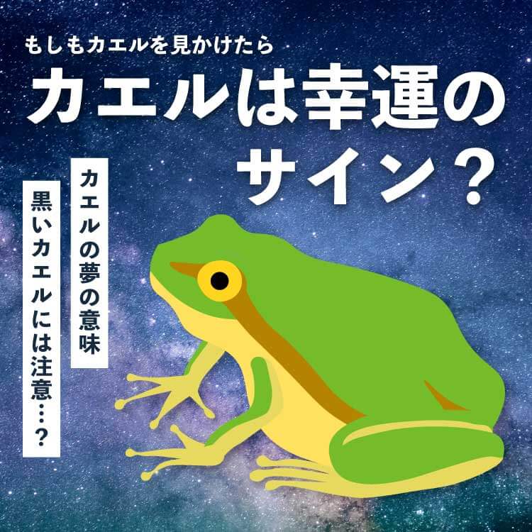 カエルのスピリチュアルな意味とは？見かけた場所・夢・色別のサインを解説