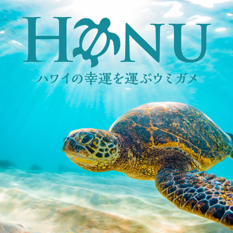 ハワイのホヌとは？幸運を運ぶウミガメの意味や出会えるビーチ3選