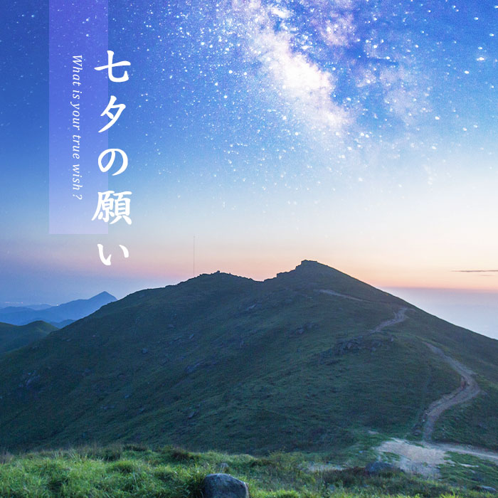 七夕の願い 本当の願いを見つめて 株式会社アミナコレクション 七夕の願い 本当の願いを見つめて 株式会社アミナコレクション