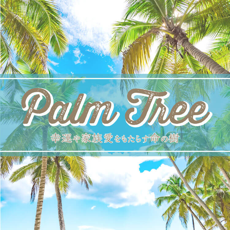 ハワイの人々が愛する“パームツリー”～幸運や家族愛をもたらす命の樹～