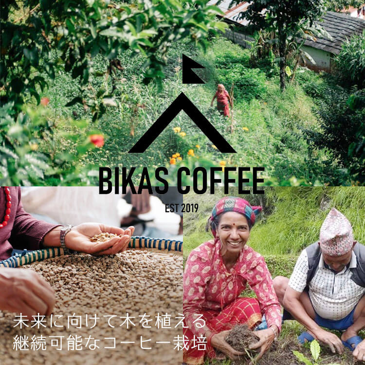 【BIKAS COFFEE】コーヒーの未来を救うネパールコーヒー